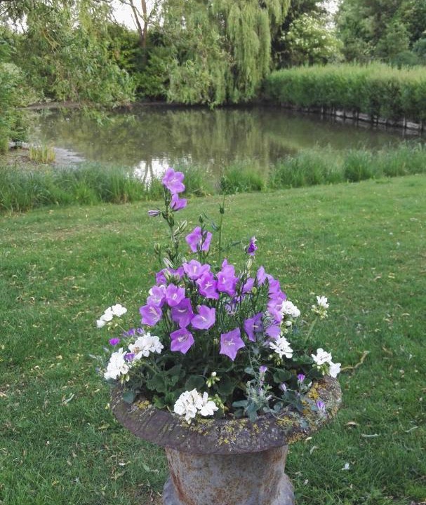 Photo of Others in Cysoing