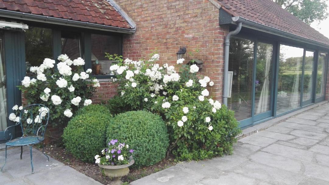 Photo of Others in Cysoing