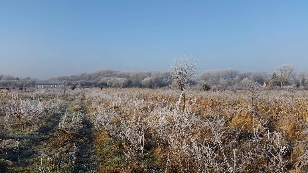 Photo of Others in Cysoing