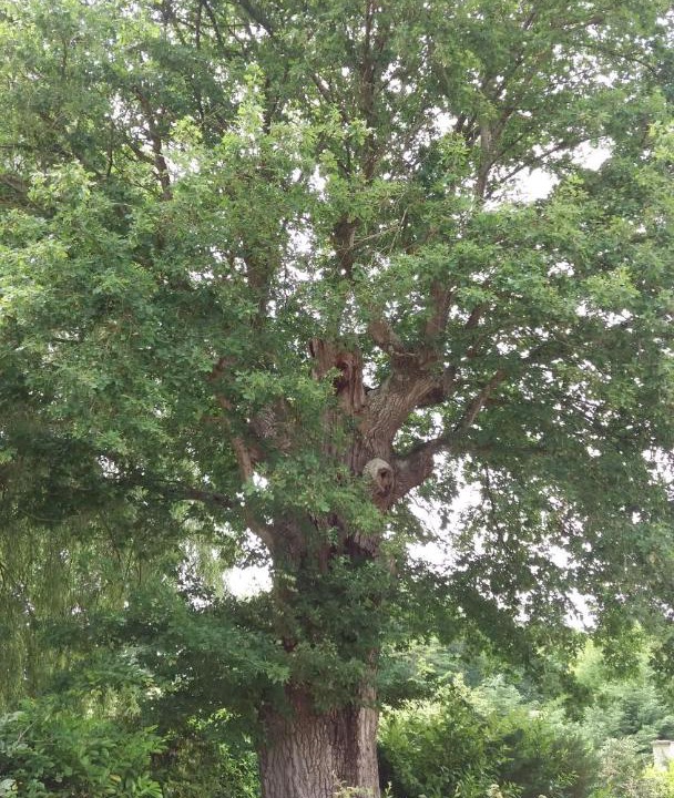 Photo of Outdoor in Flere-la-Riviere