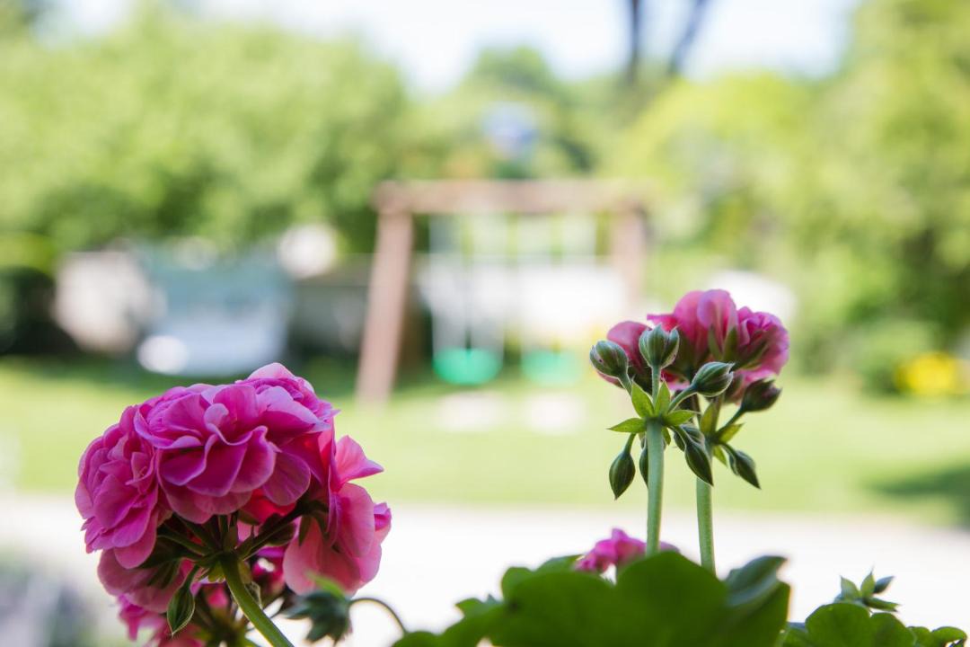 Photo of Outdoor in Dreznik Grad