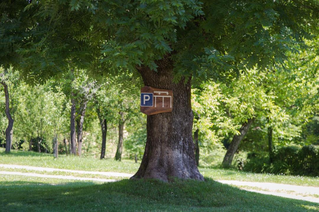 Photo of Others in Dreznik Grad