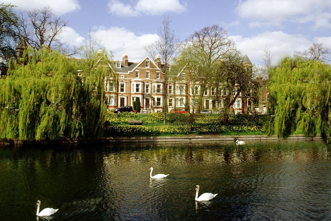 Photo of Others in Arbury