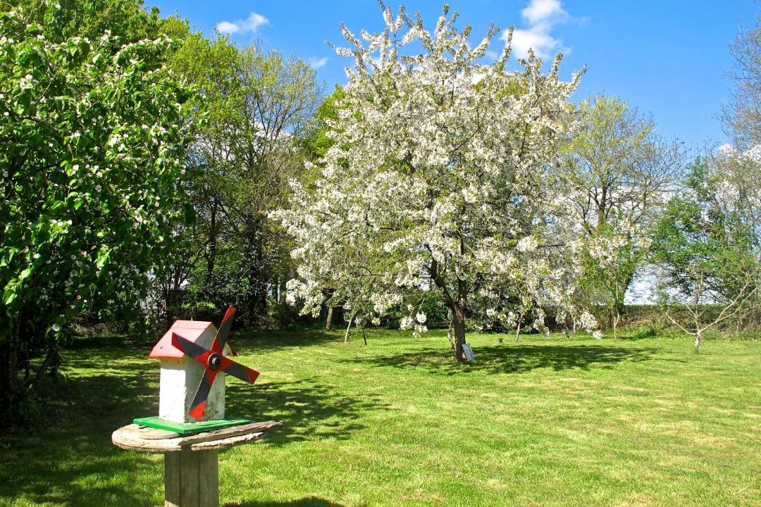 Photo of Others in Mauron