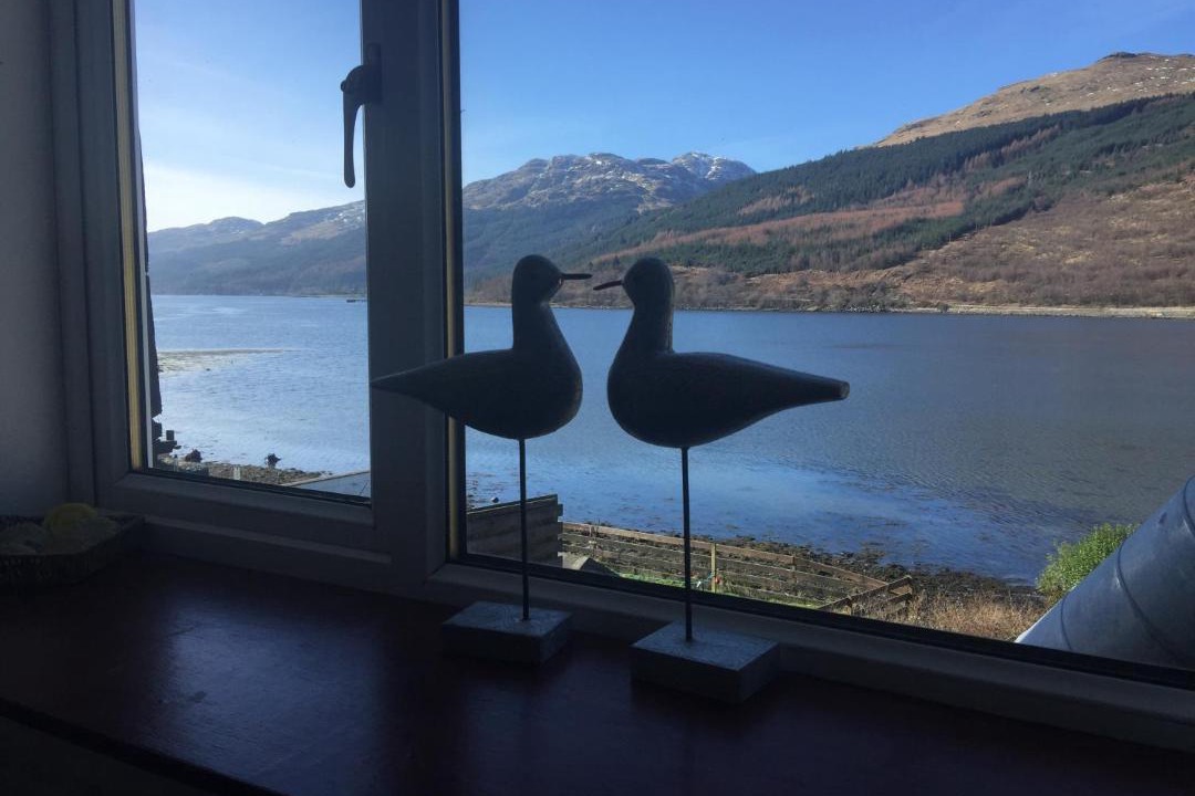 Photo of Others in Arrochar