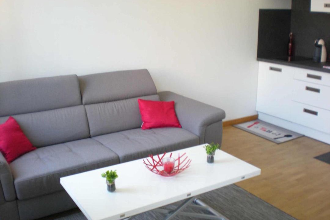 Photo of Livingroom in Jean-Medecin