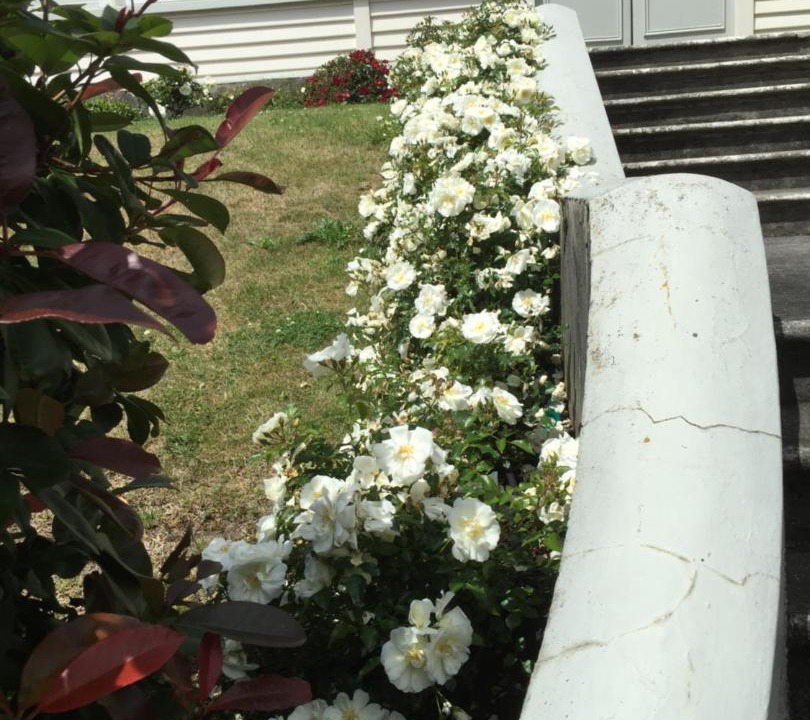 Photo of Others in Wellington