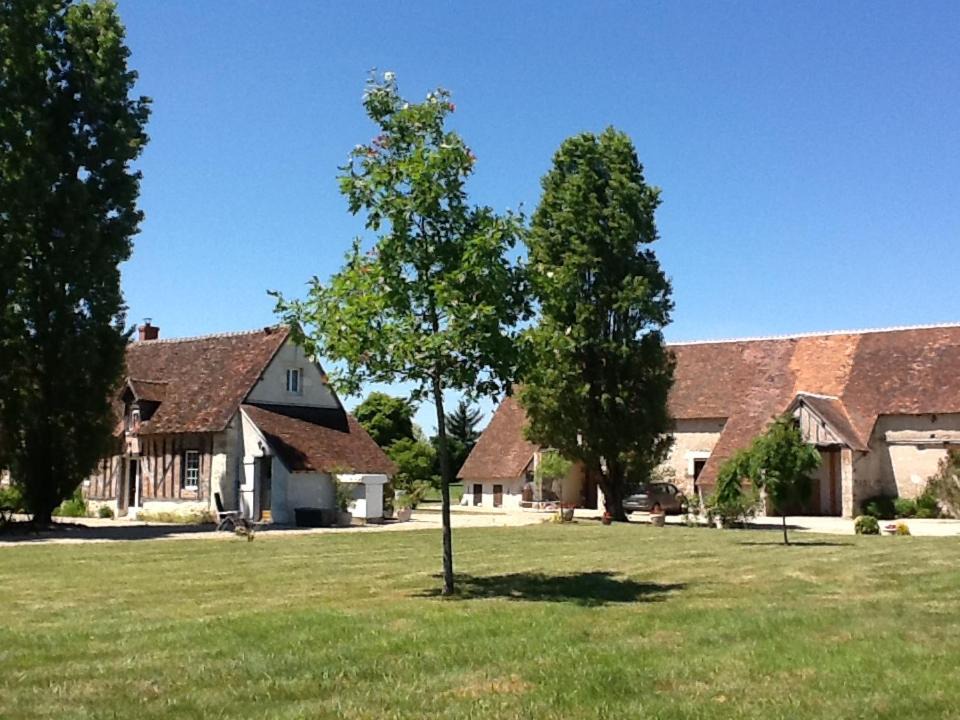 Photo of Others in Escrignelles