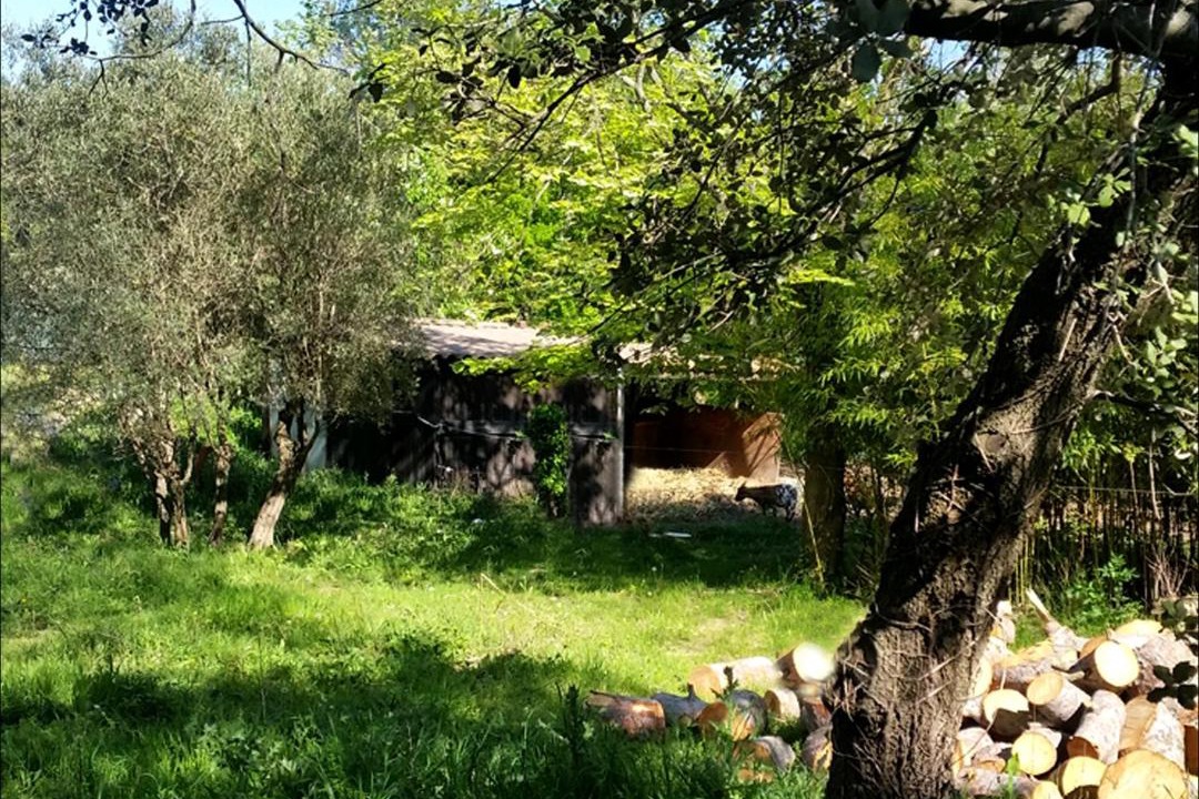 Photo of Outdoor in Santa Cruz