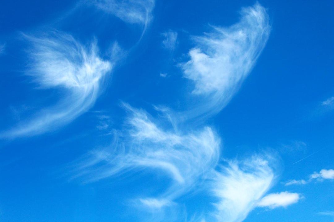 Photo of Others in Mauron