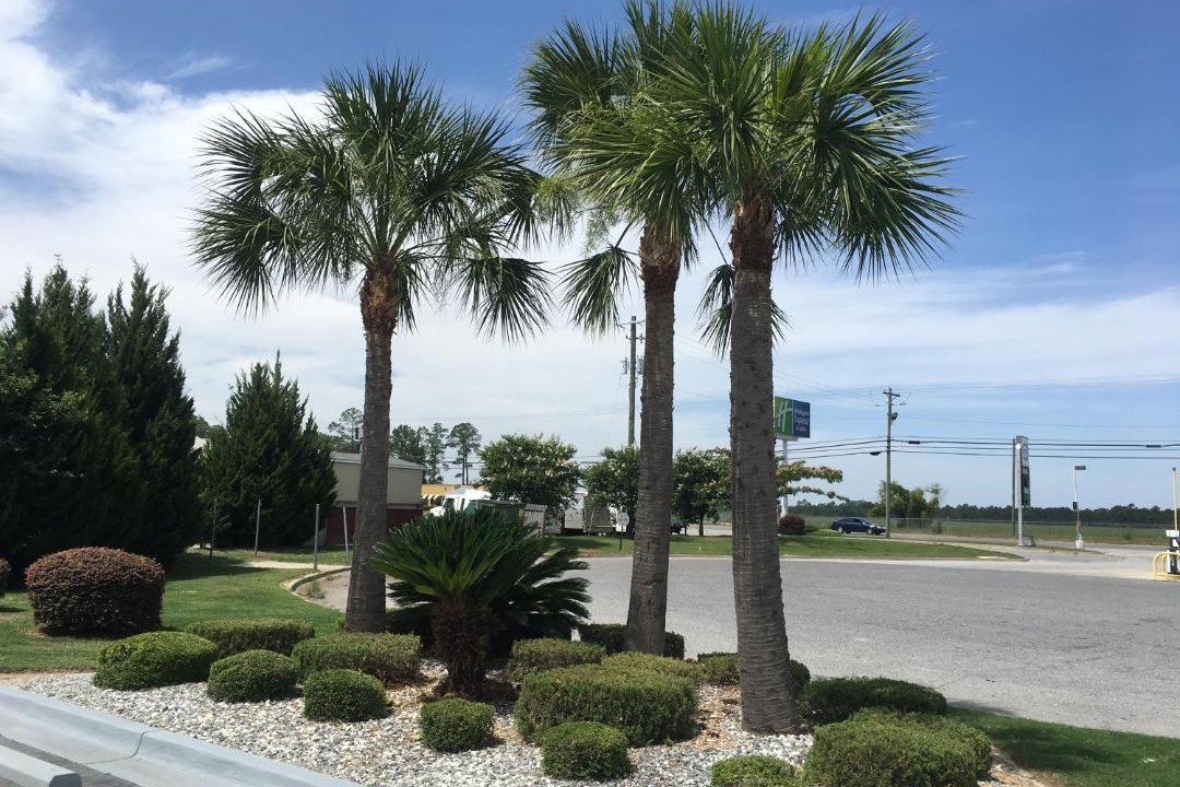 Photo of Outdoor in Douglas