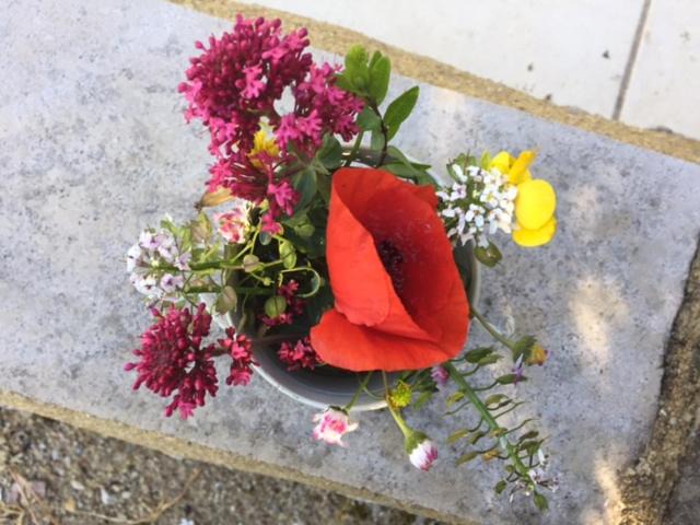 Photo of Others in Baladou