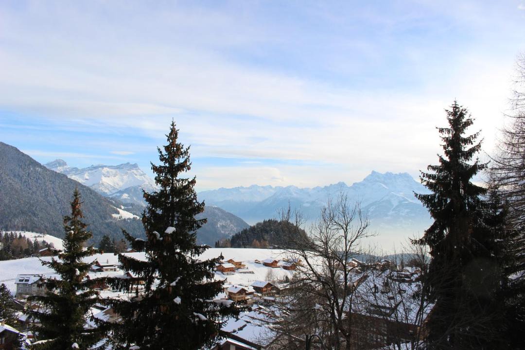 Photo of Others in Leysin