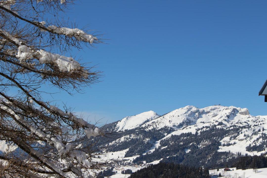 Photo of Others in Leysin