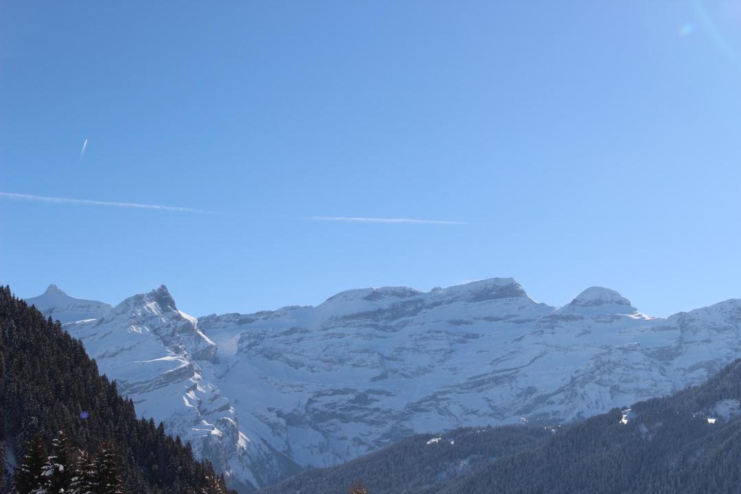 Photo of Others in Leysin