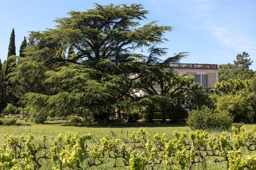 Photo of Others in Montsegur-sur-Lauzon