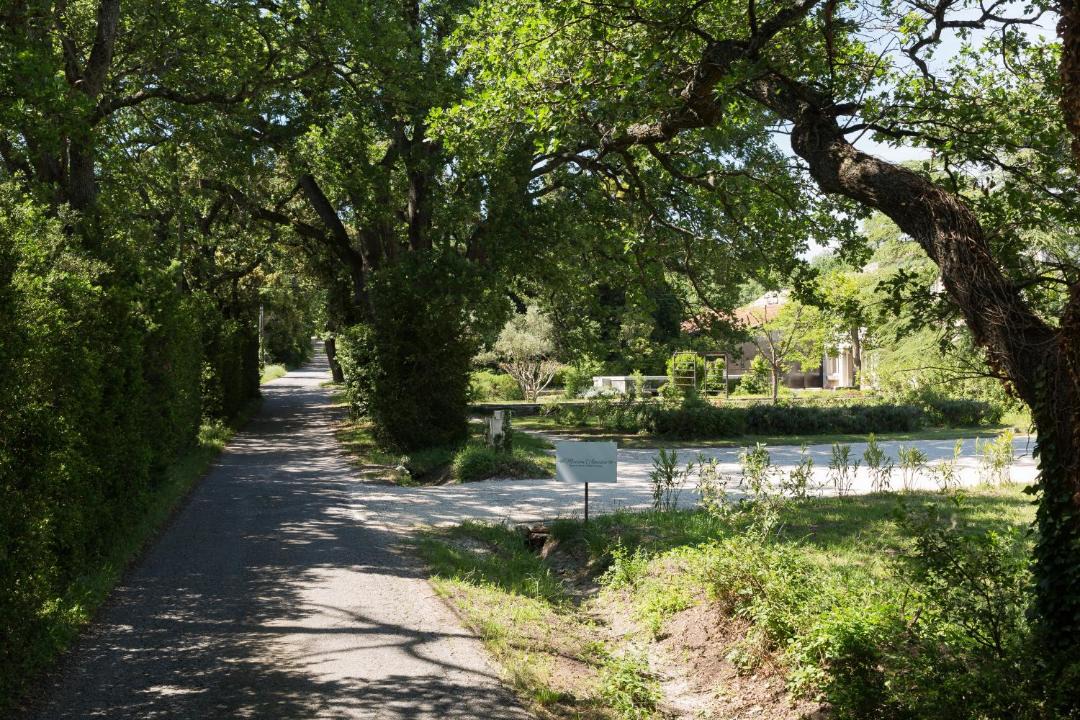 Photo of Outdoor in Montsegur-sur-Lauzon