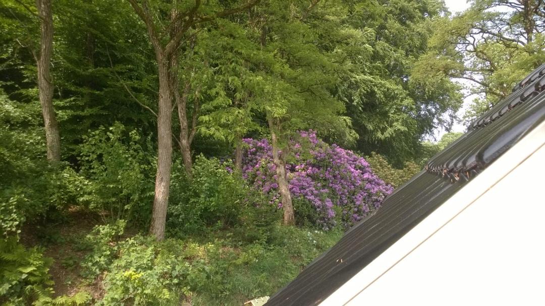 Photo of Others in Engesvang