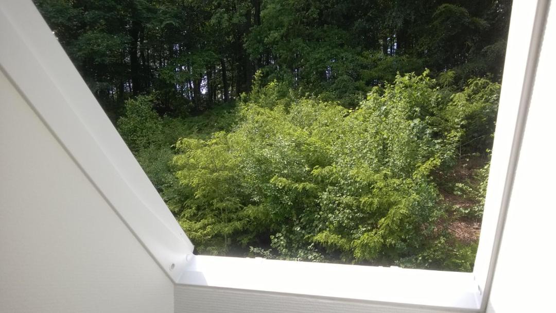 Photo of Others in Engesvang