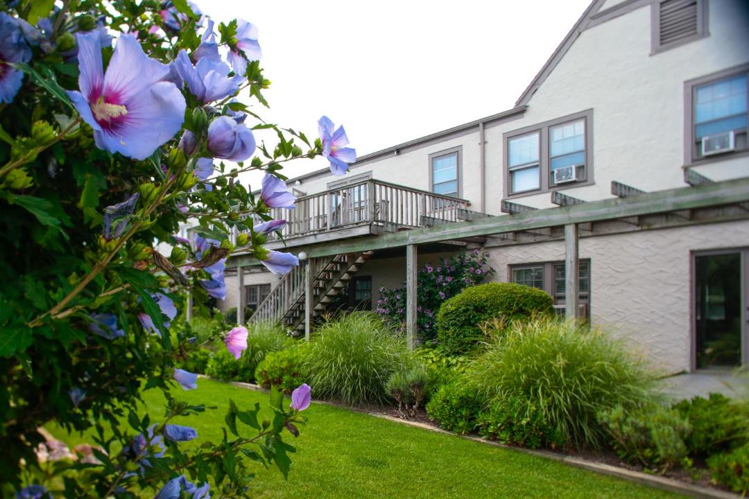 Photo of Others in Montauk