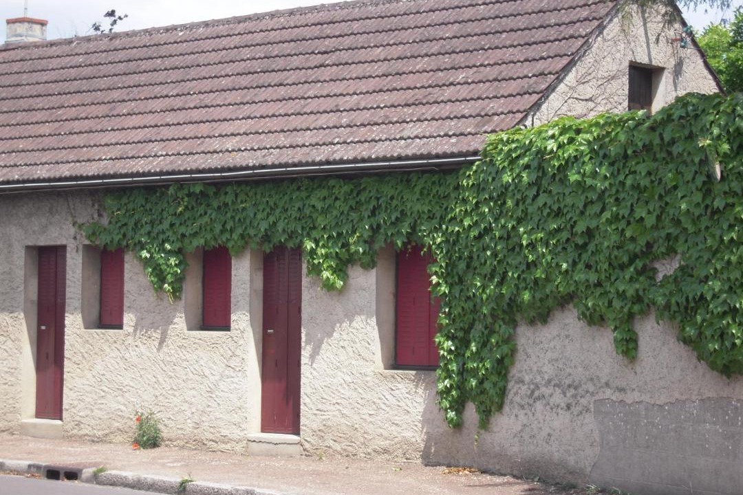 Photo of Others in Seurre