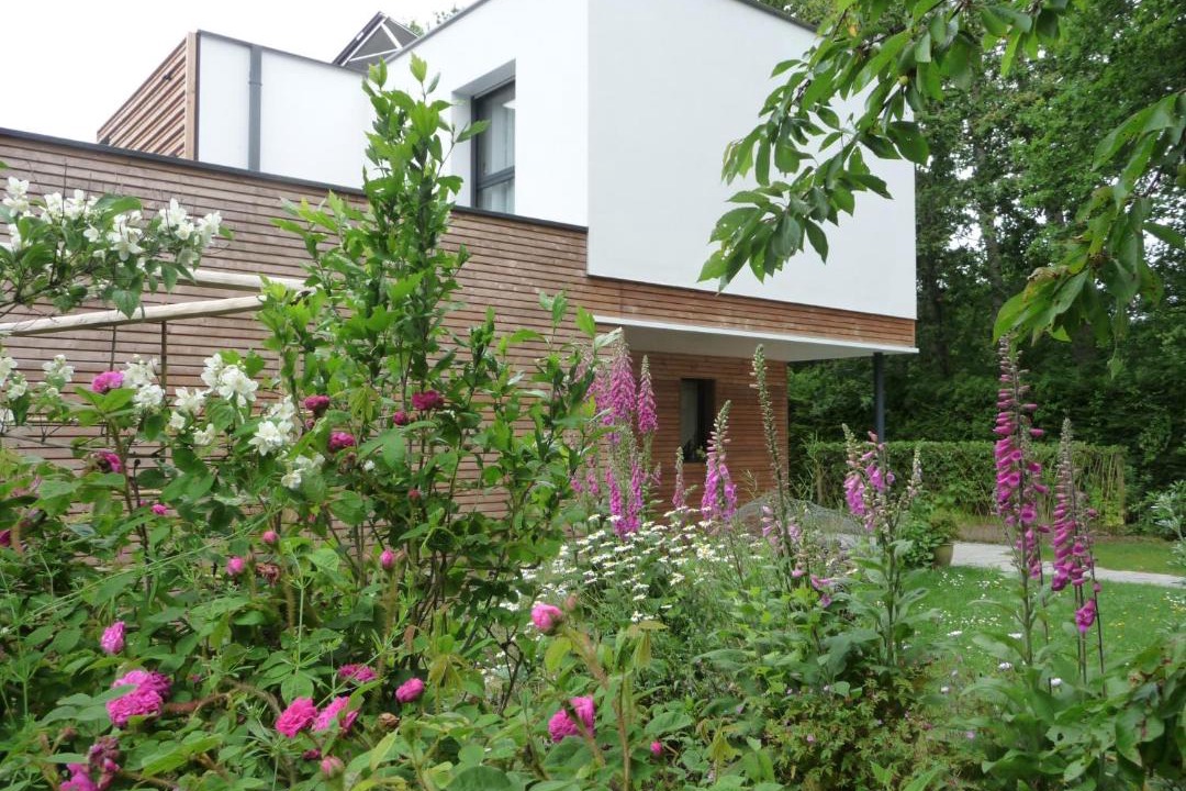 Photo of Others in Ferel