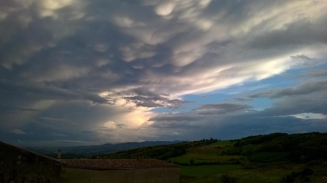 Photo of Others in Ternand