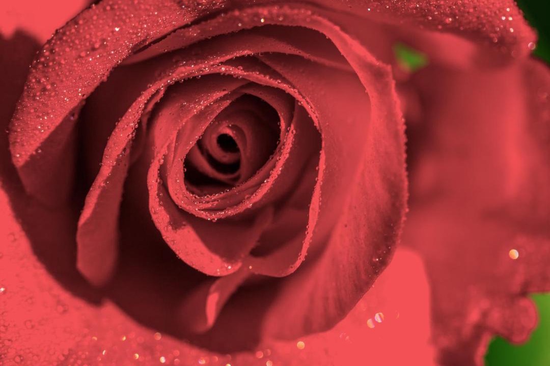 Photo of Others in Chauvigny