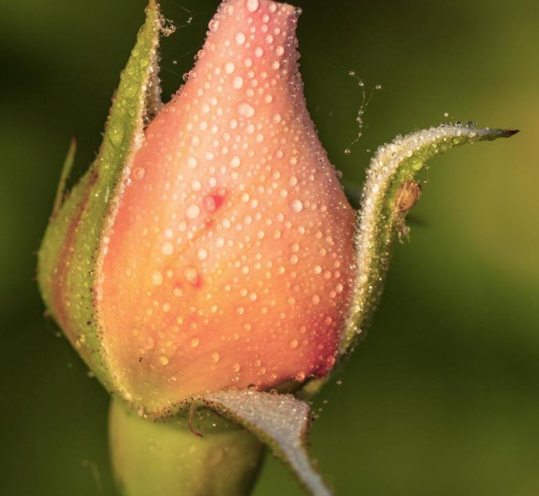 Photo of Others in Chauvigny