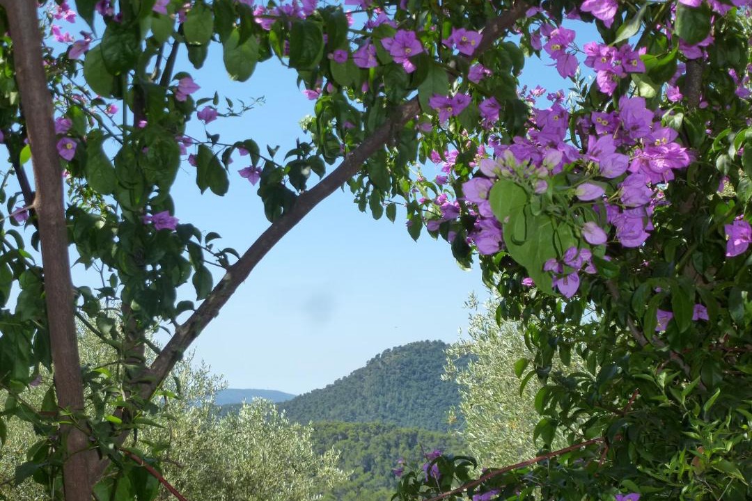 Photo of Outdoor in L'Escarene