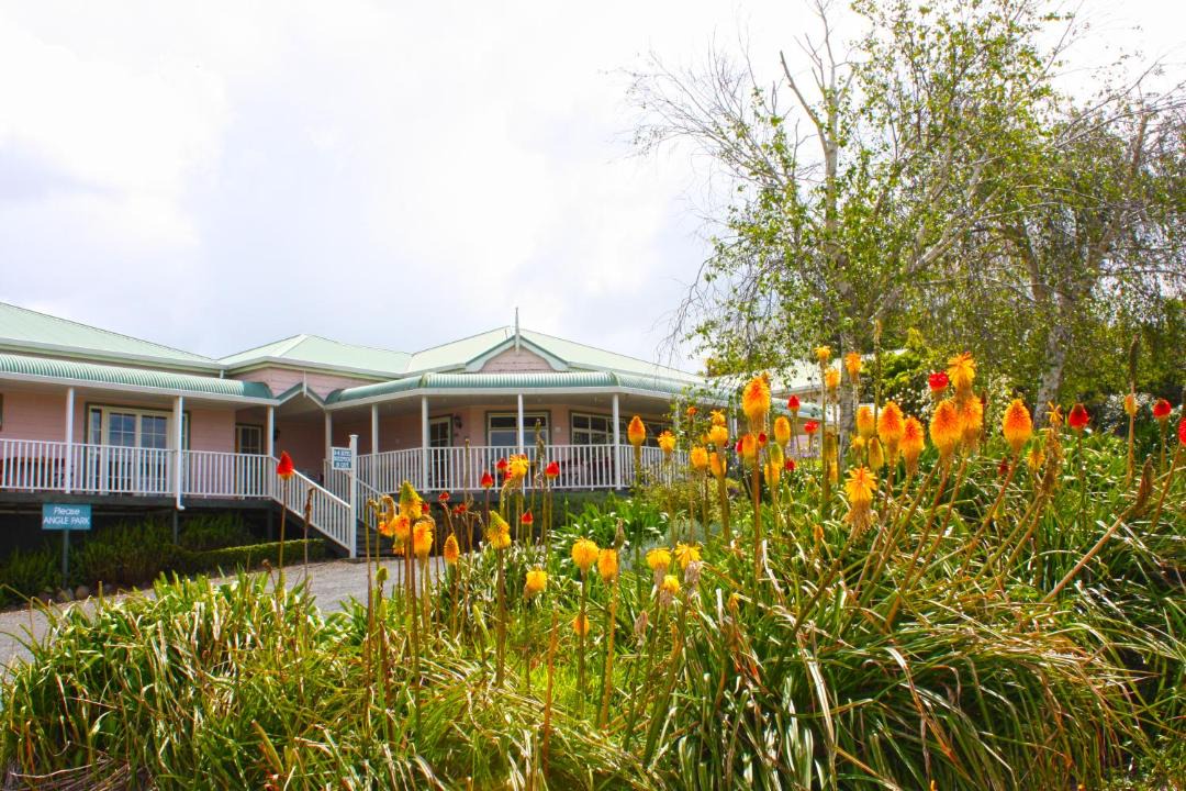 Photo of Others in Matakohe