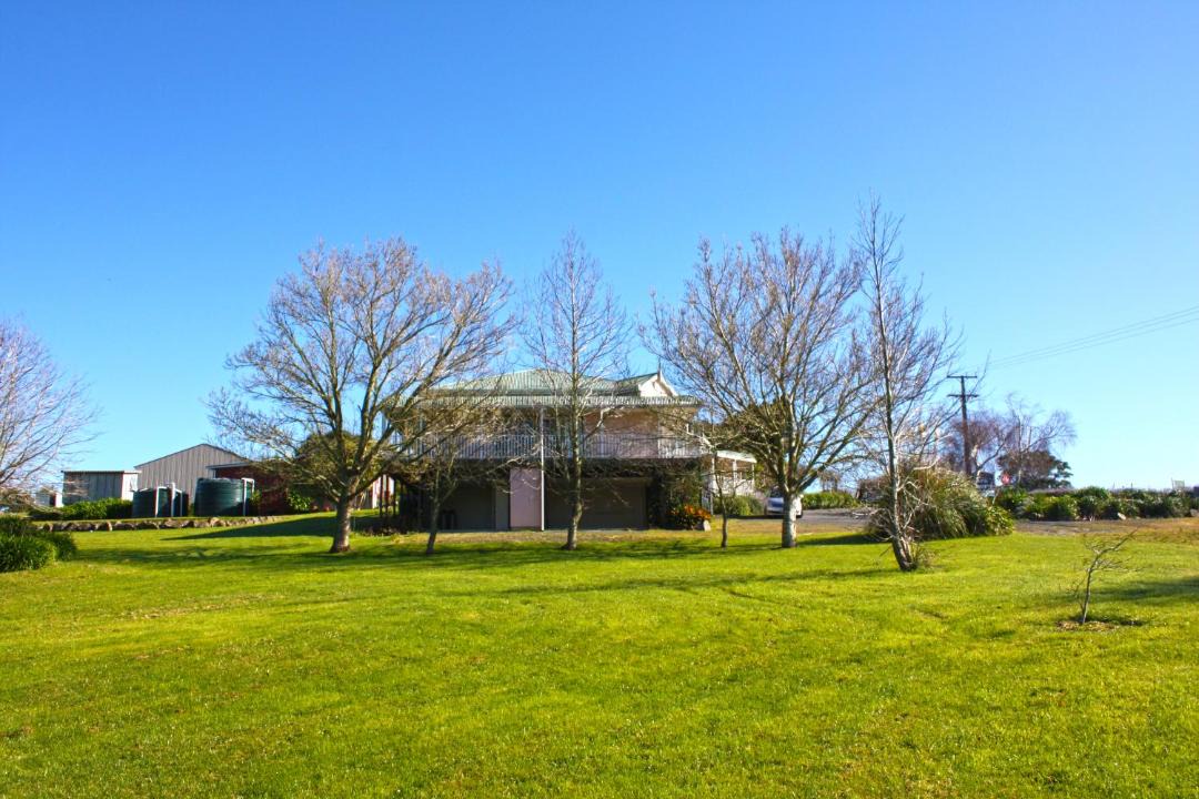 Photo of Others in Matakohe