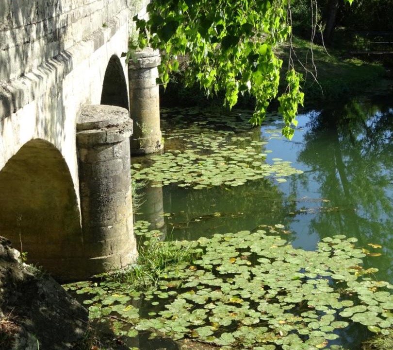 Photo of Others in Pesmes