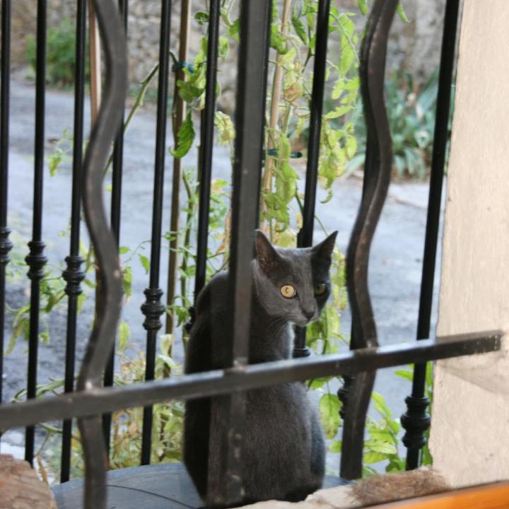 Photo of Others in Tornac
