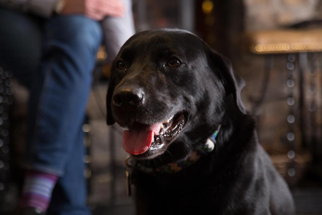 Photo of Others in Kirkby Lonsdale