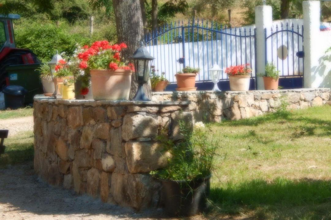 Photo of Others in Giuncaggio