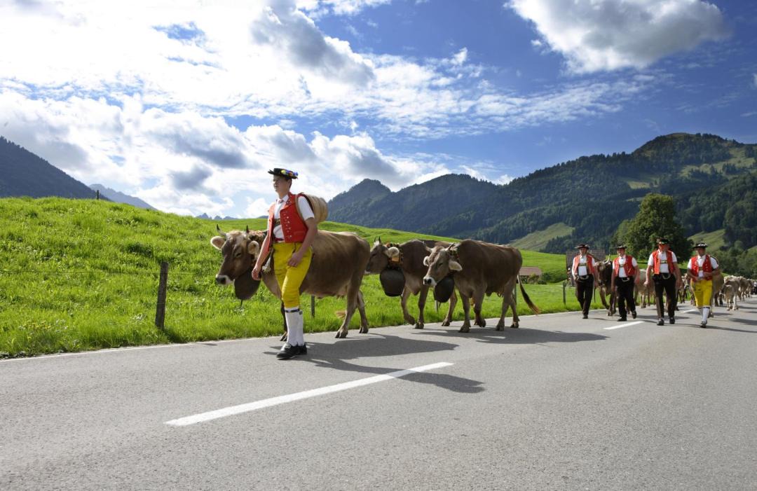 Photo of Others in Herisau