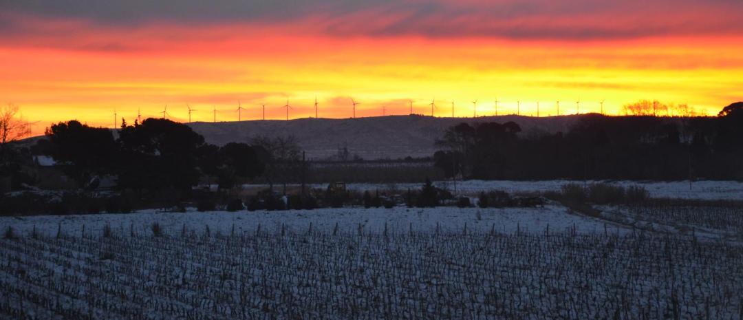 Photo of Outdoor in Lezignan-Corbieres