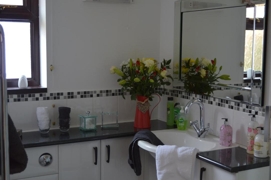 Photo of Bathroom in Disserth and Trecoed