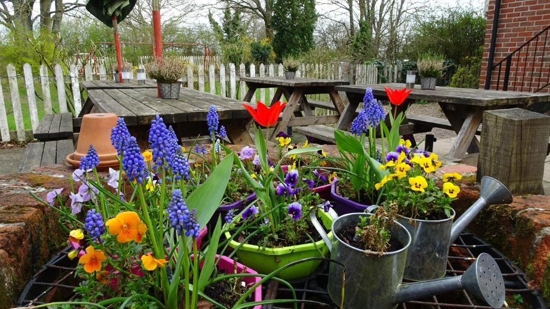 Photo of Patio Balcony in Penwood