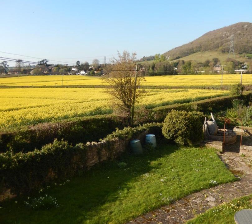 Photo of Others in Walford