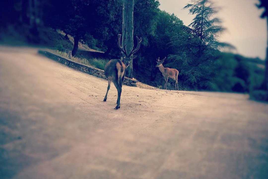 Photo of Others in Ladern-sur-Lauquet