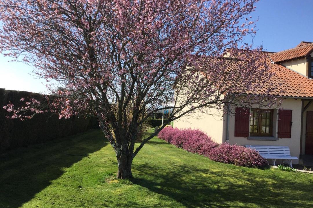 Photo of Others in Semur-en-Brionnais