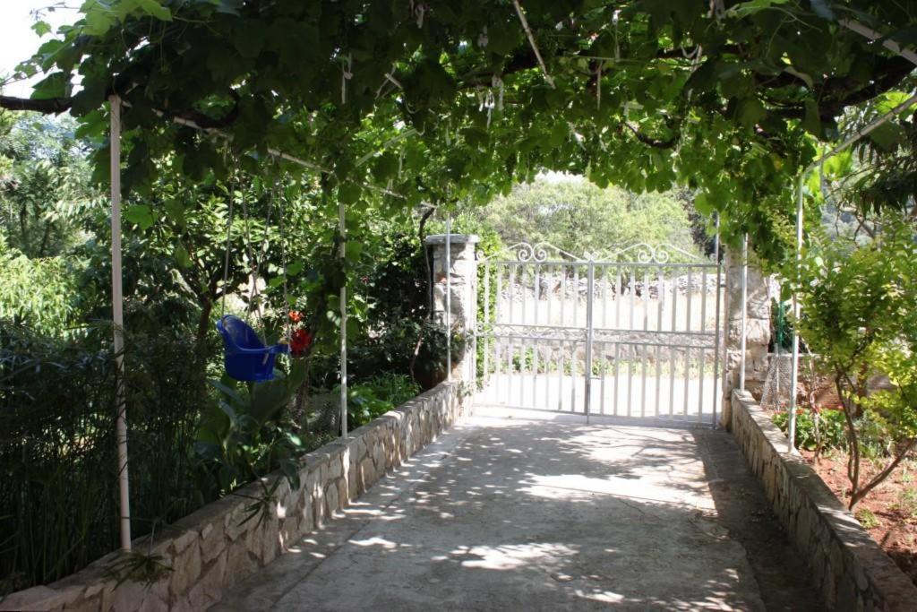 Photo of Others in Bozava