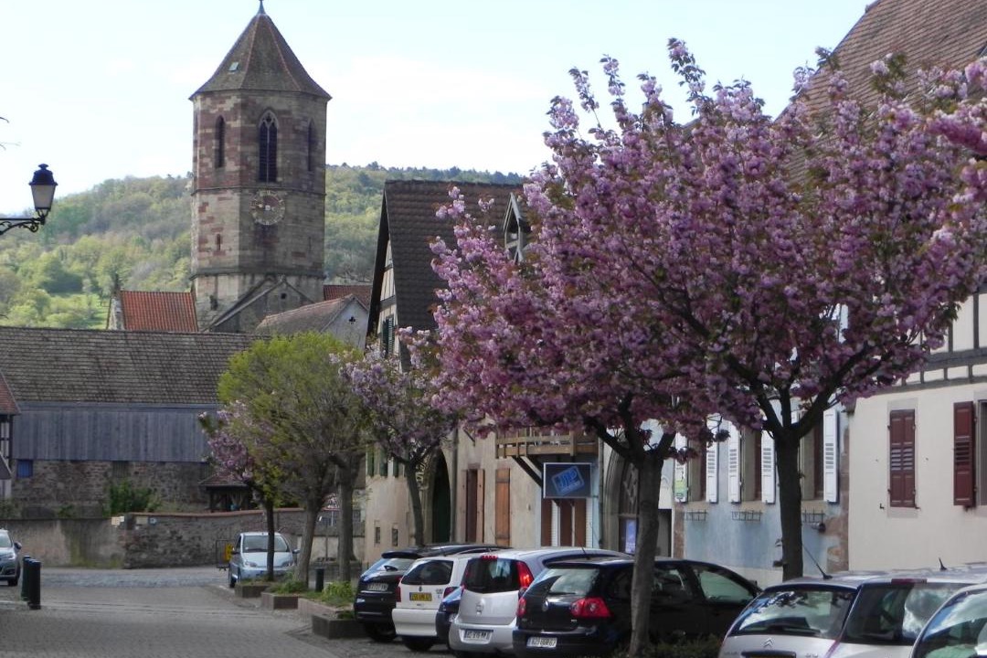 Photo of Others in Rosheim