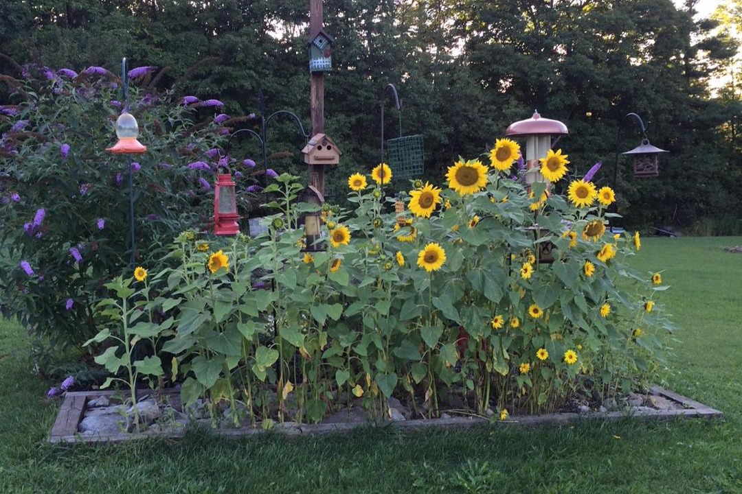 Photo of Others in Richfield Springs