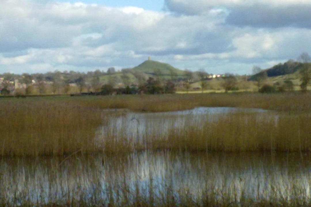Photo of Outdoor in Glastonbury