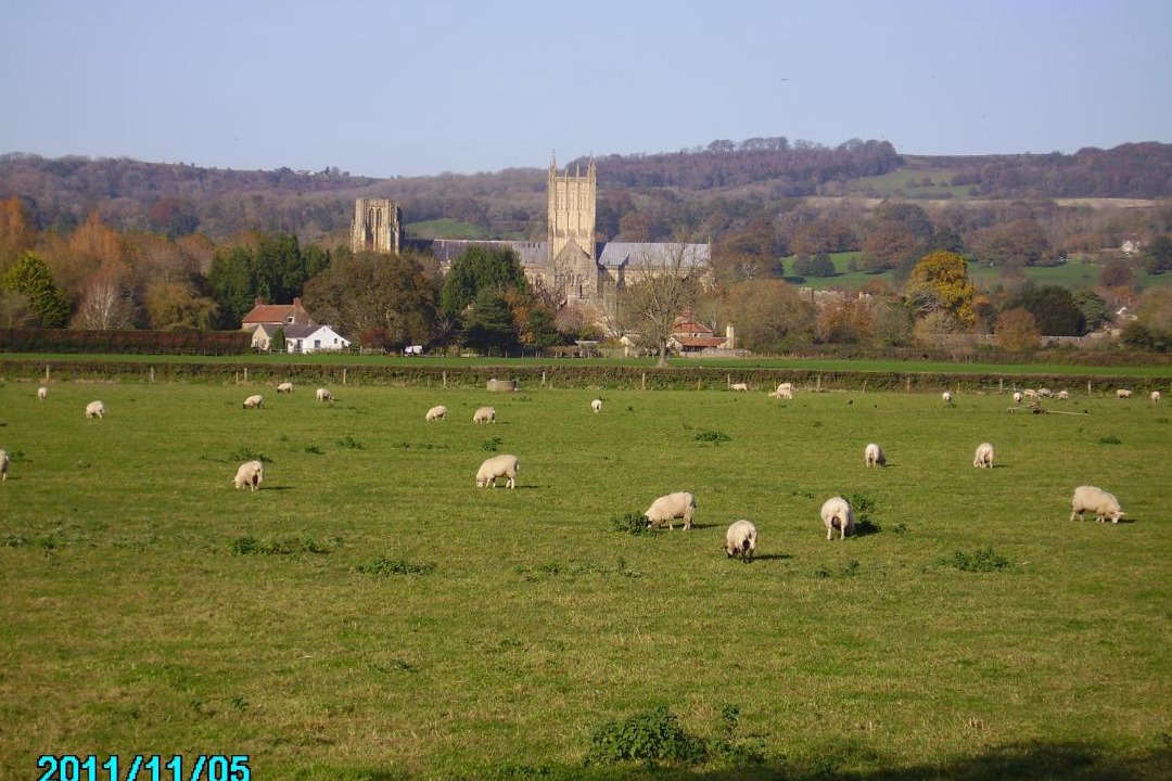 Photo of Outdoor in Glastonbury