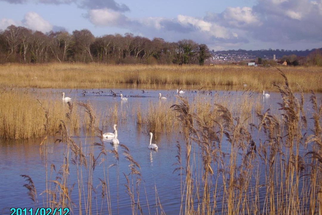 Photo of Outdoor in Glastonbury