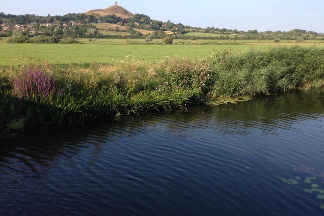 Photo of Outdoor in Glastonbury